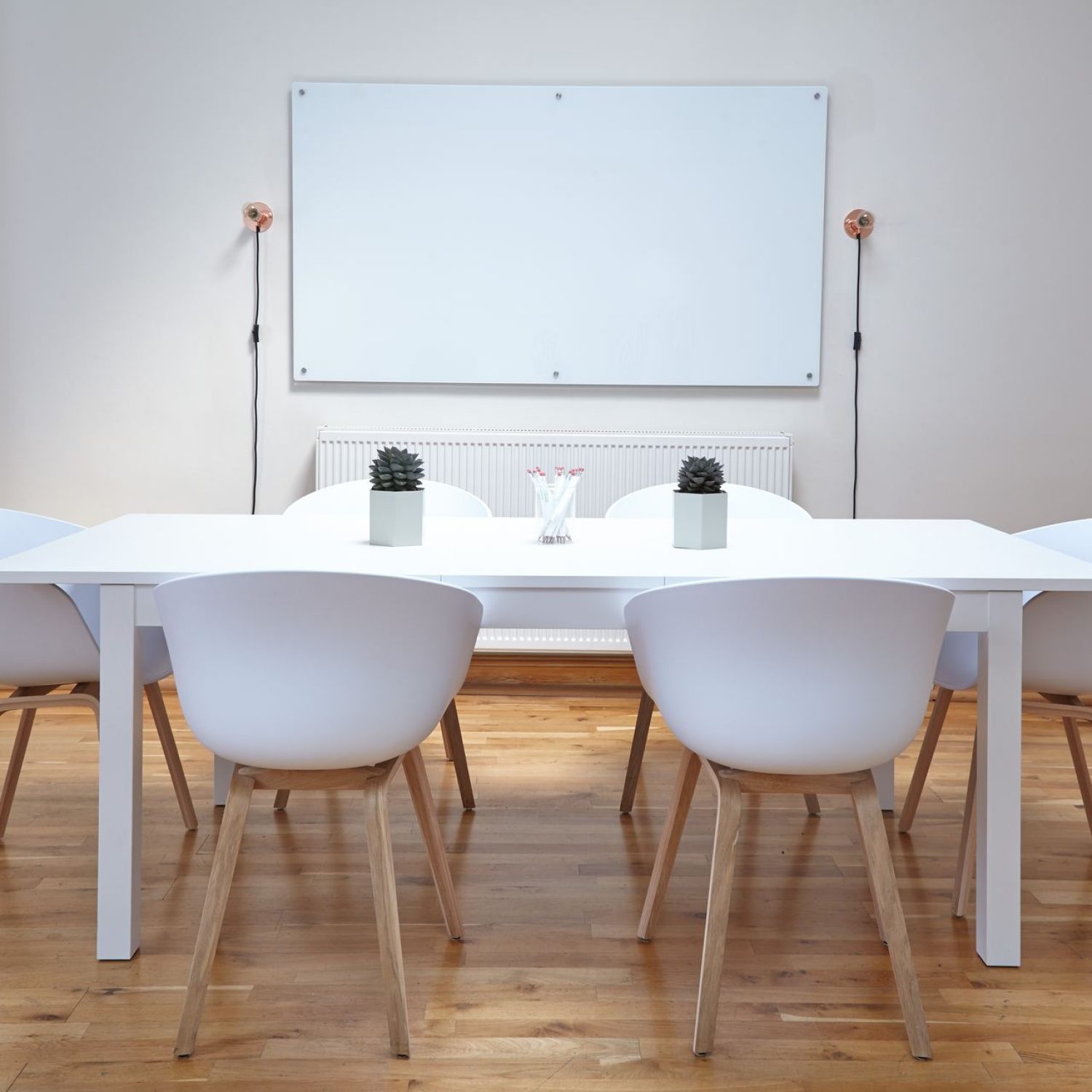 A Dream of White and Beech