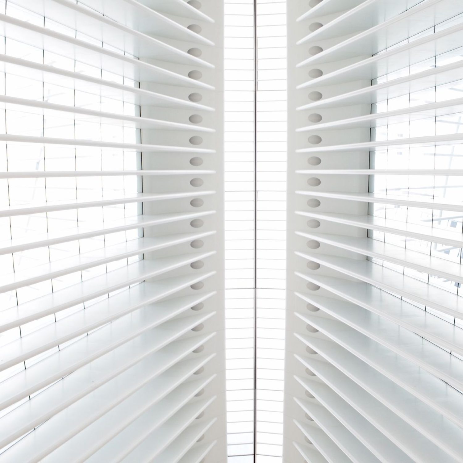 Bright Shutters Everywhere